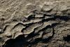 mudscape
